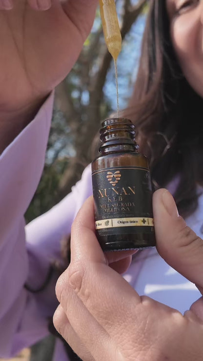 Miel Sagrada de Melipona Xunan Keb | Elixir Ancestral de primera extracción| 🔥Promo solo hoy!